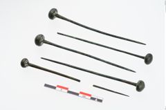 Foto von Bronzekugelkopfnadeln (NHMW-PRAE-024615)